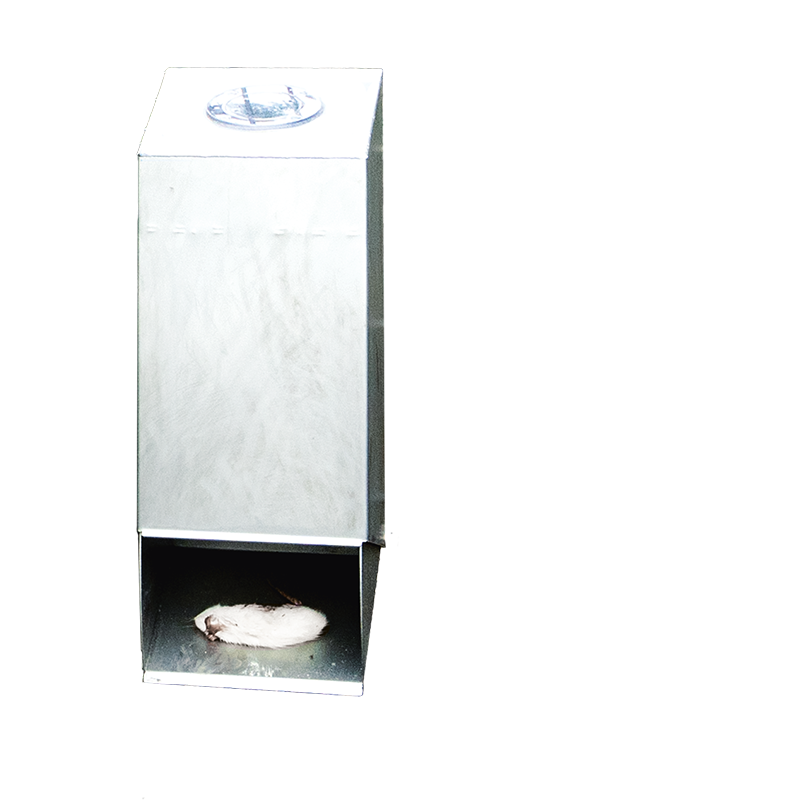 automat