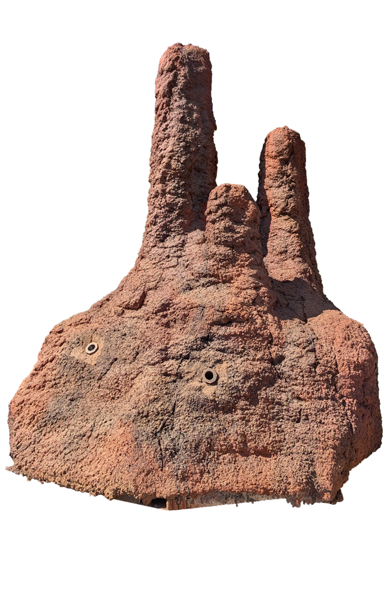 termite