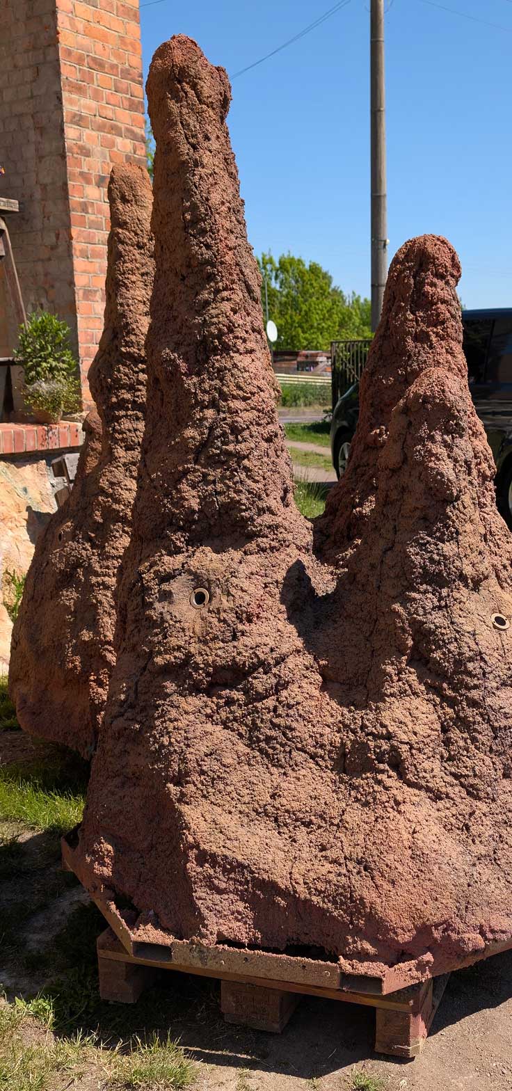 termite_2