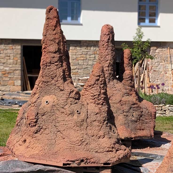 termite_6