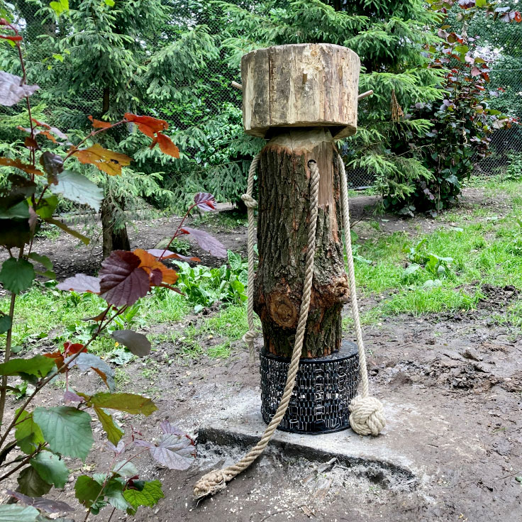 tigerbaum_10
