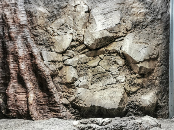 slider-image